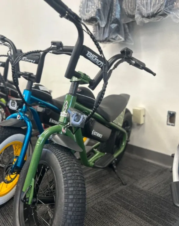 ELECTRIC BIKES