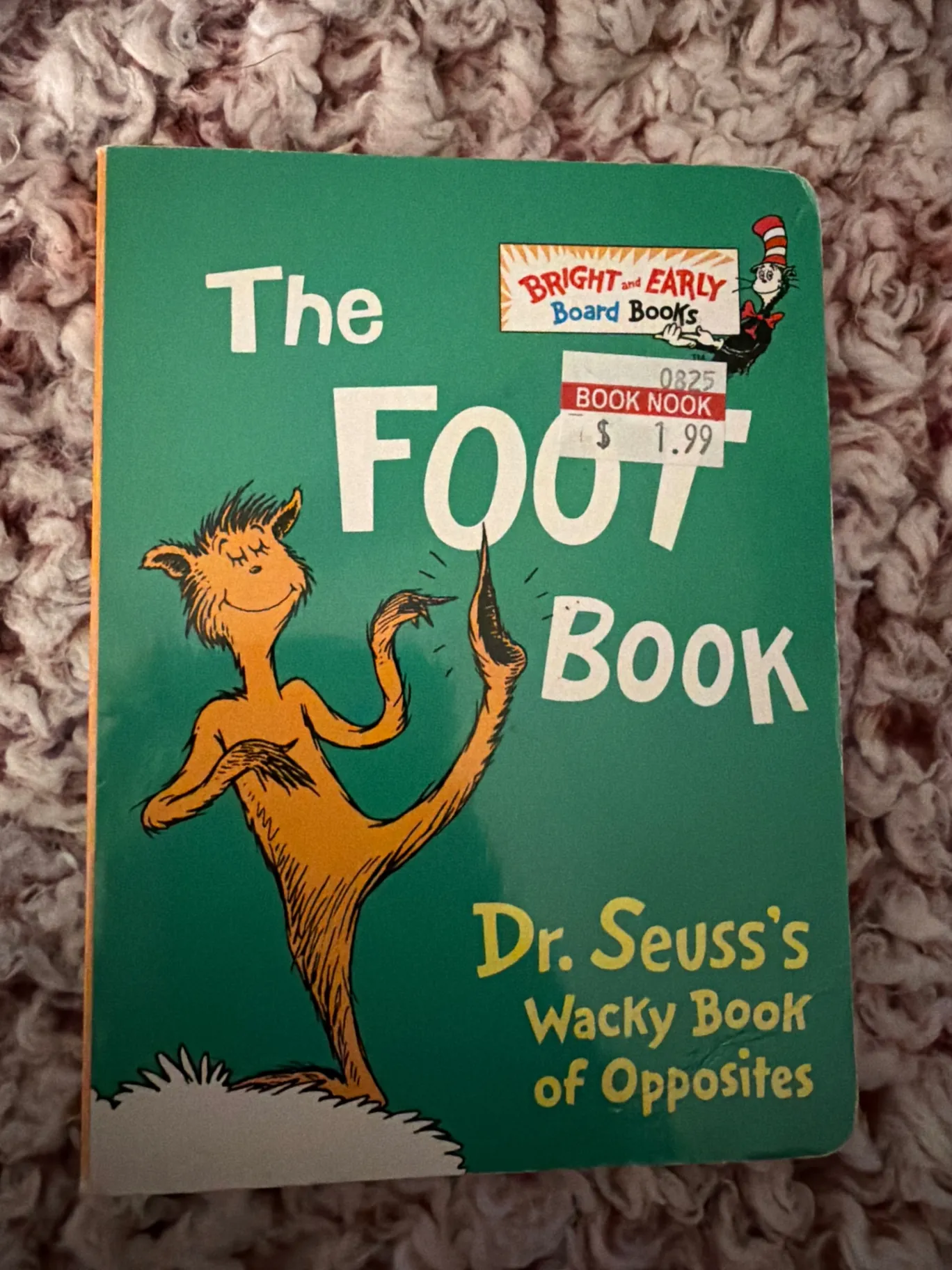 The Foot Book 